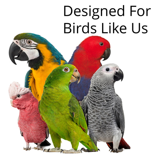 This toy was designed for bird like Amazons, Grays, Eclectus, Cockatoos and Macaws.