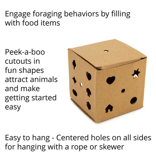Peek-a-boo Foraging Box