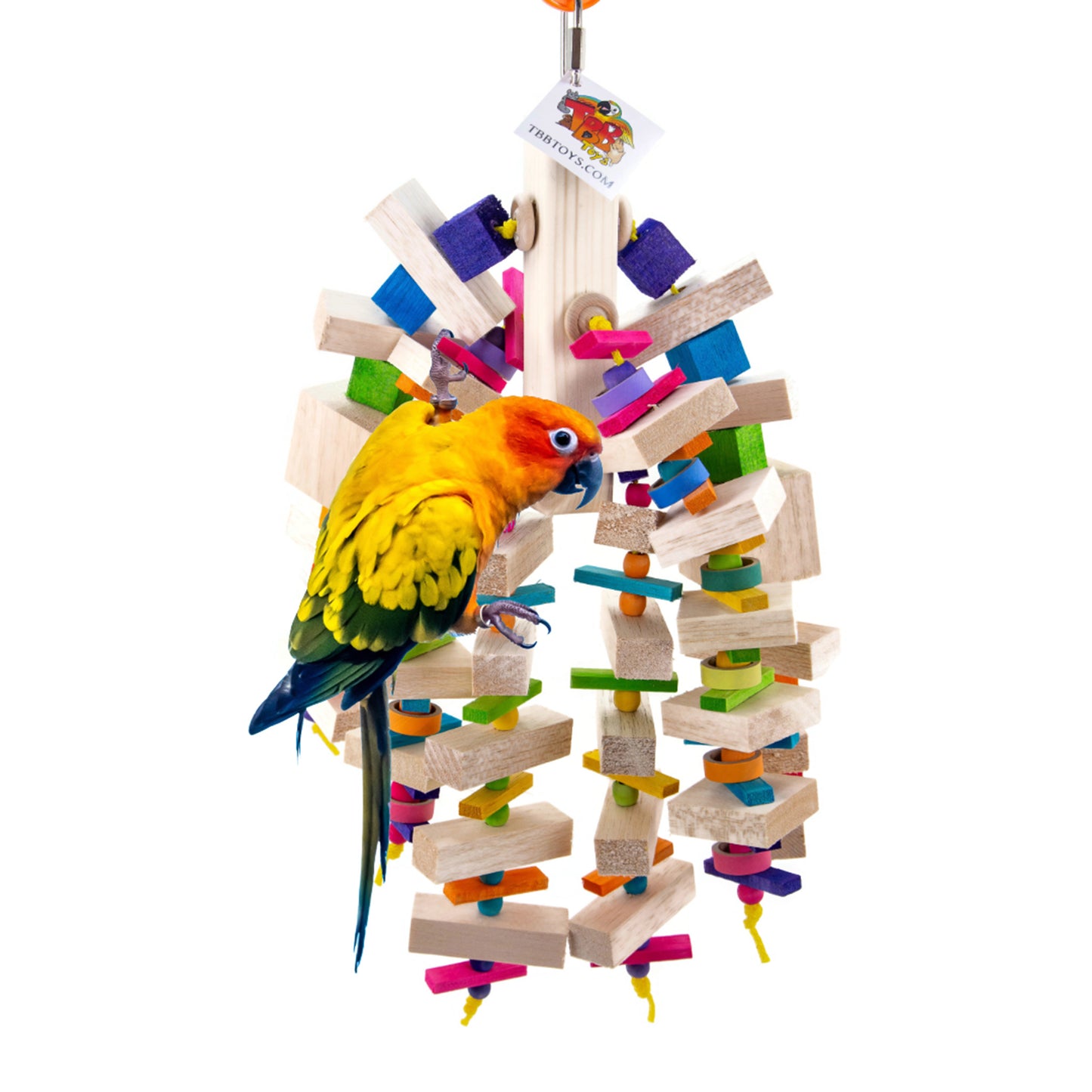 Ruby's Balsa Bonanza Bird Toy