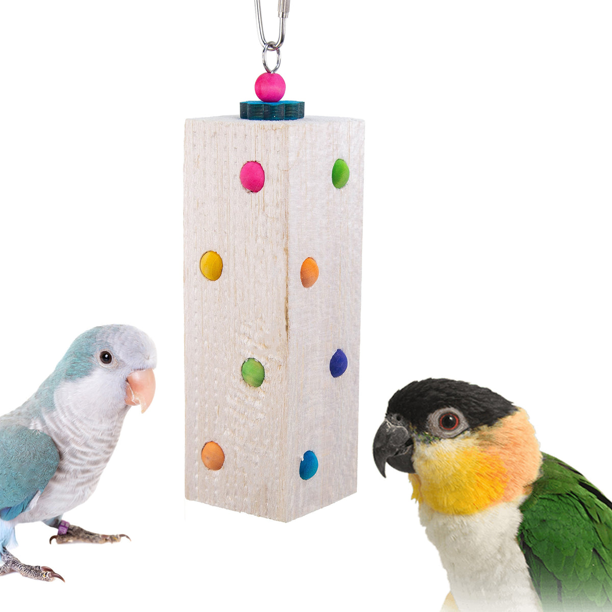 Balsa Dots - Balsa Bird Toy