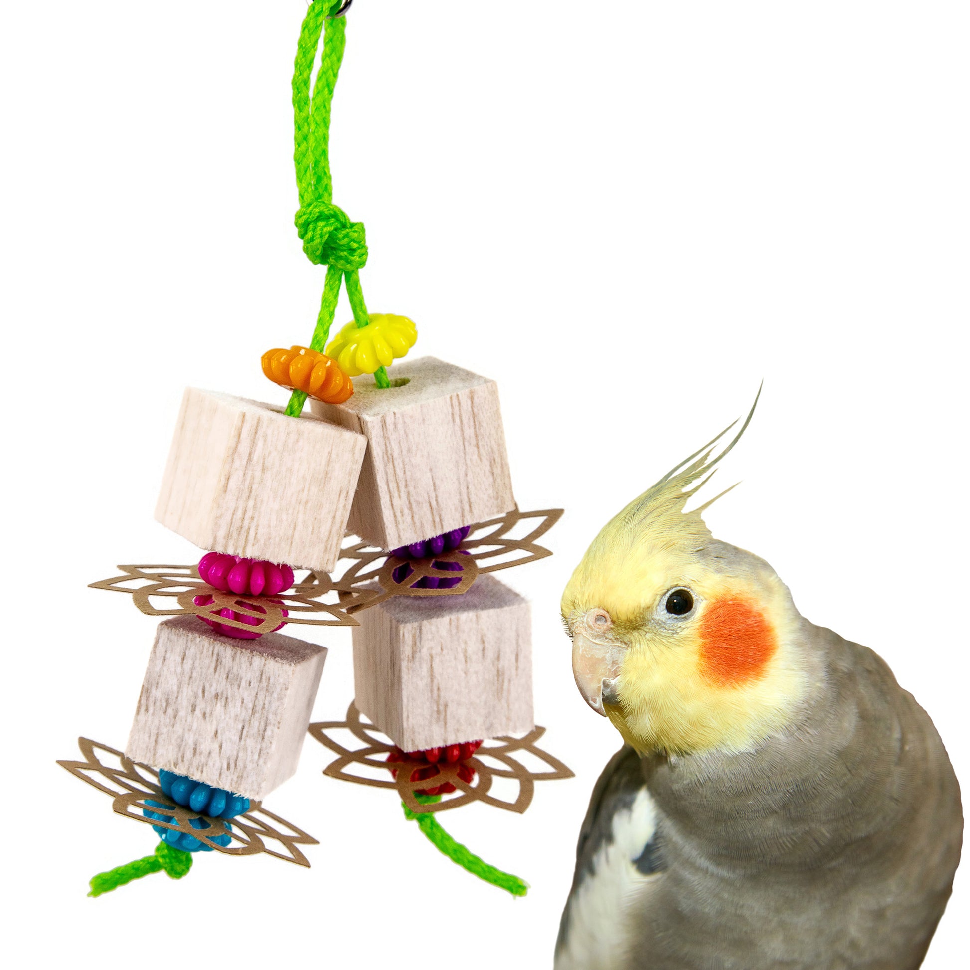 Balsa cubes strung on plastic poly rope alternating with fun paper cut outs and colorful plastic beads. Shown with a cockatiel standing nearby.