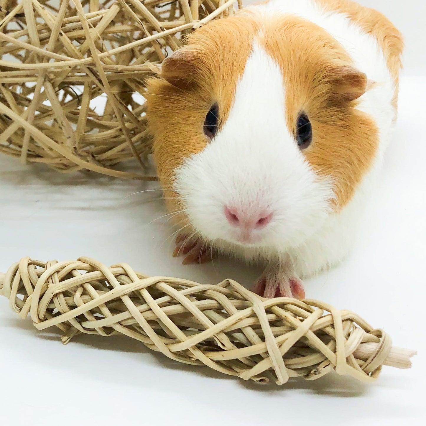 Natural Multi-toy Collection - Chew Toys for Bunny Rabbits, Guinea Pigs and Chinchillas