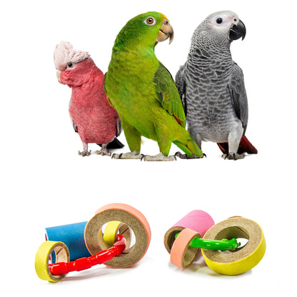 Three parrots with colorful foot toys.