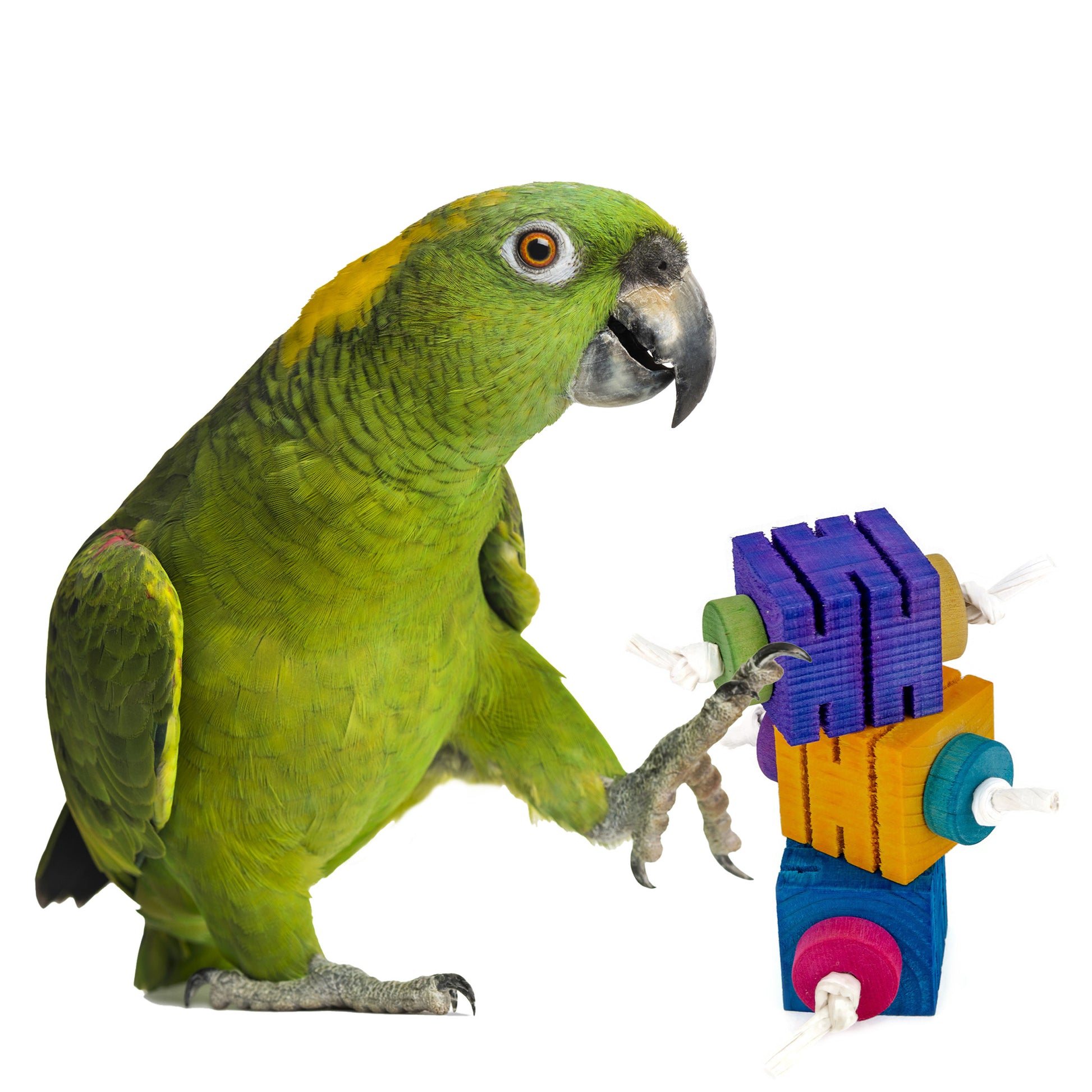 Wood cubes tied with a wood wheel on either end. Perfect foot toy for an Amazon Parrot.