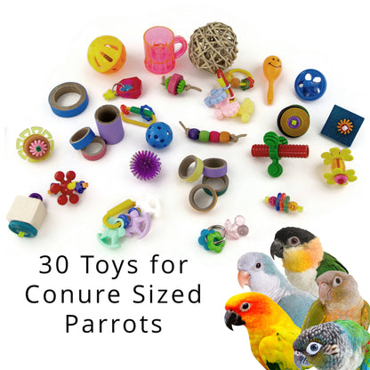 Jar of Foot Toys - Bird Toys
