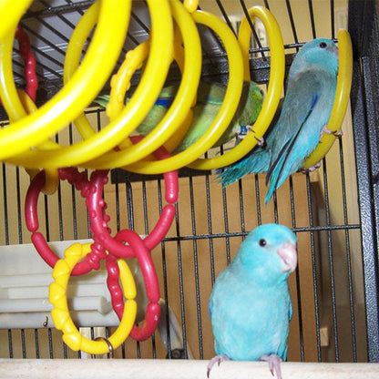 Curly Q - Small Bird Toy and Perch