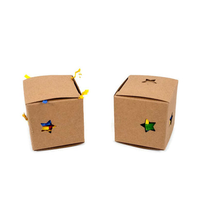 2 Stuffed Foraging Boxes - Bird Toys - Foot Toys