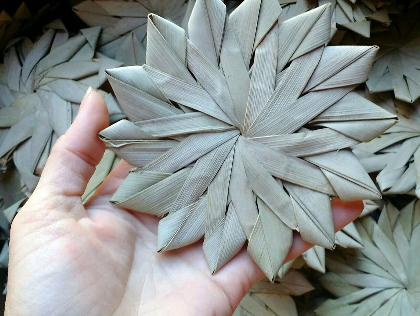 Large Palm Flowers - 5 Inch (12 cm)