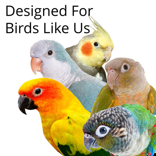 The toy is designed for small birds like cockatiels, quakers and conures.