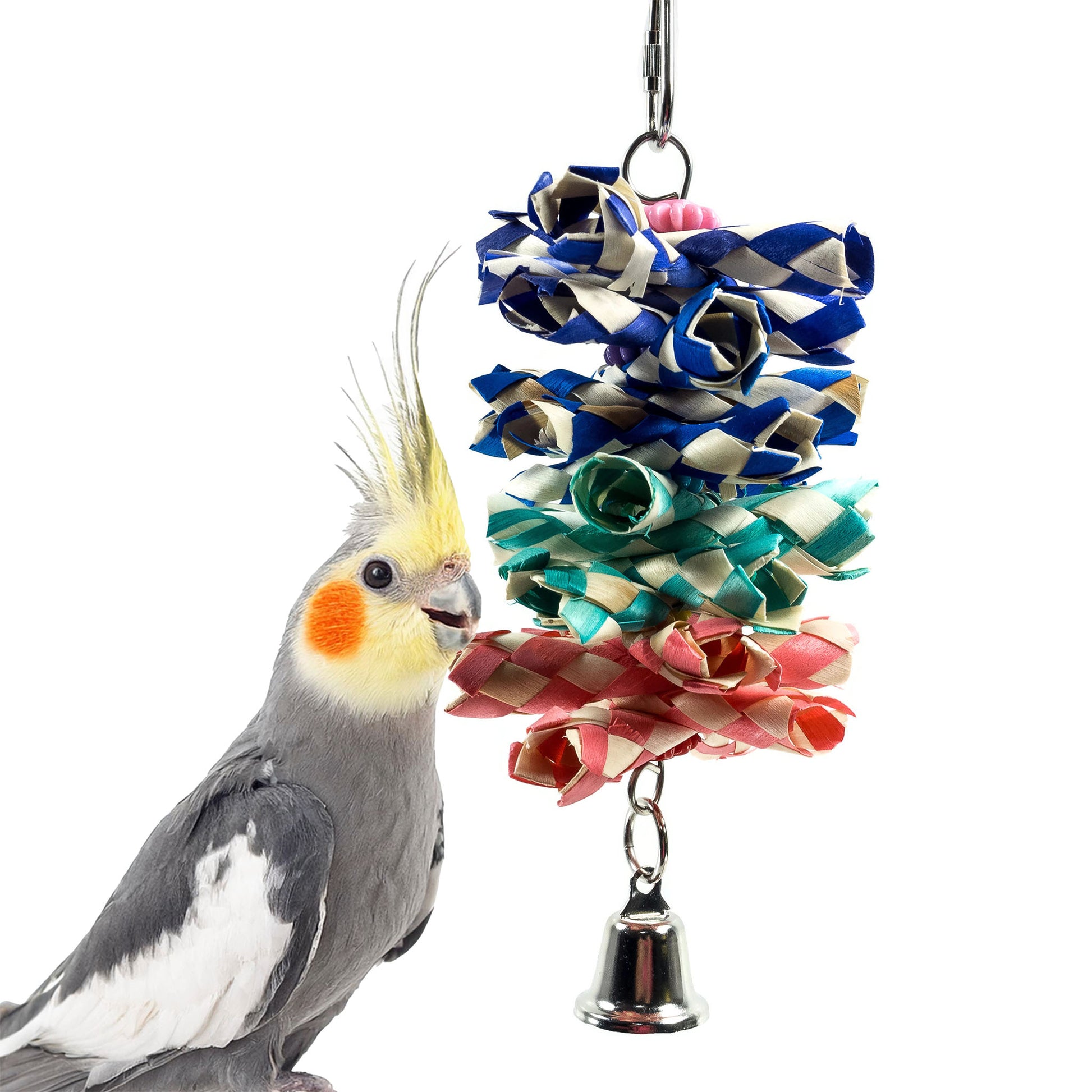 A cockatiel admires the colorful and crunch bird toy.