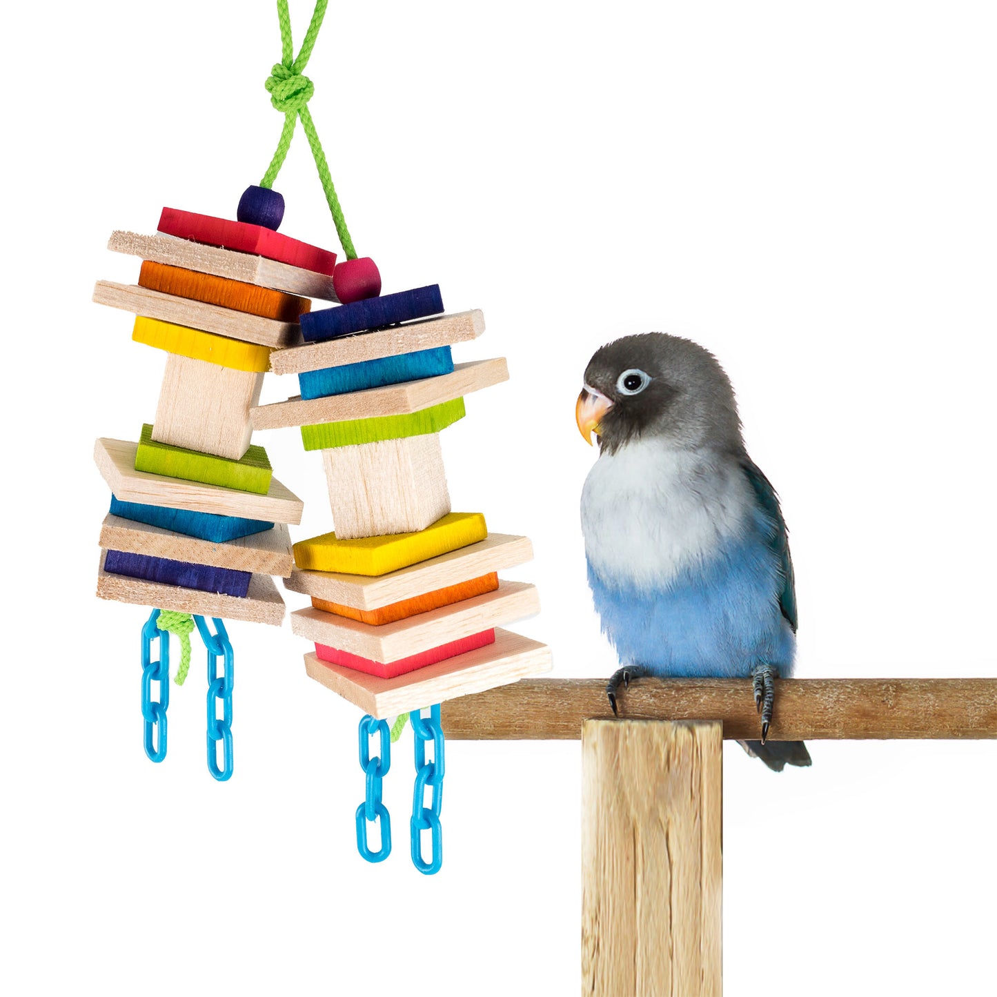Over the Rainbow birds toy is  a perfect toy to keep a lovebird busy for hours.
