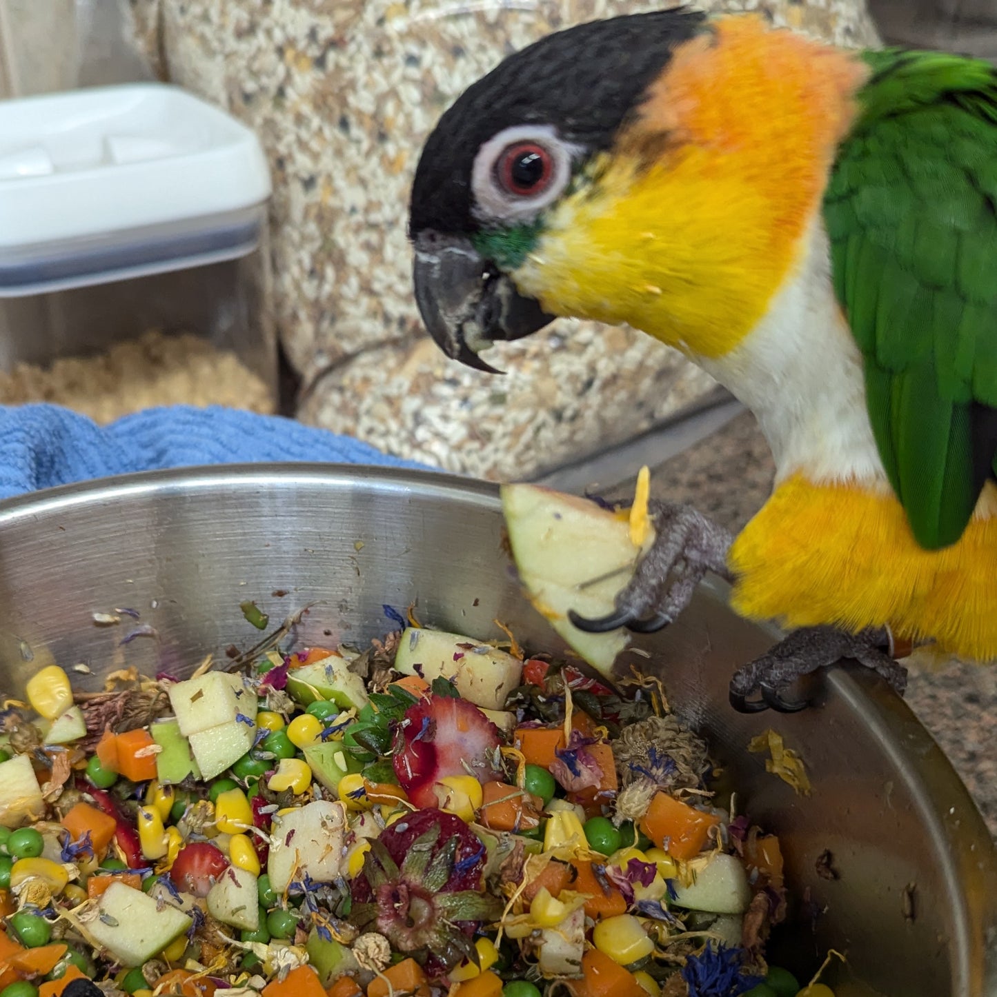 Wildflower Wellness - 100% organic herbal bird food