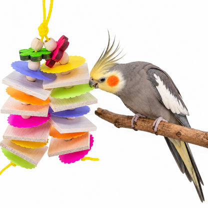 Think Spring – Small Bird Toy with Balsa, Beads and Paper