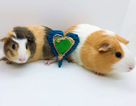 Oh My Heart - Set of 2 - Floor Toys for Small Animals