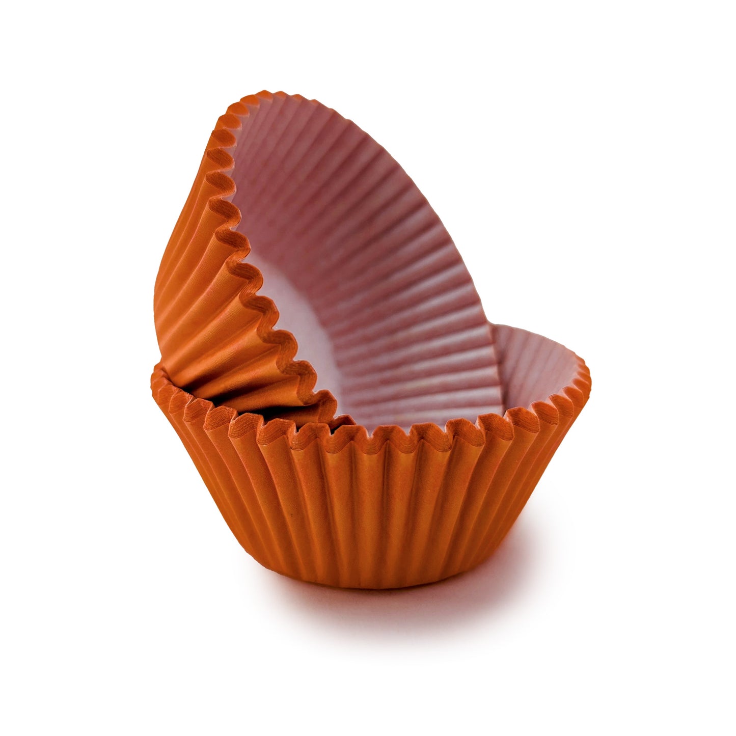 Pumpkin Orange Cupcake Liners
