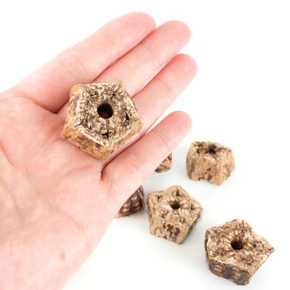 Mahogany Pod Slices for Bird Toys, Easy to Chew or Shred