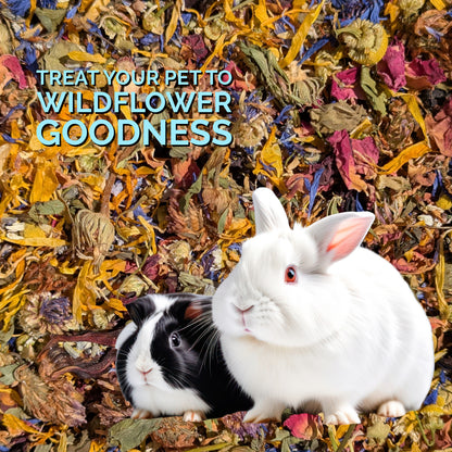 Wildflower Wellness - 100% organic herbal bird food